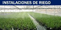 Riego